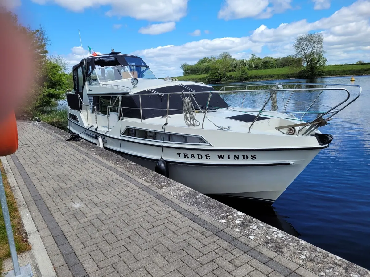 Broom Crown - Image 1