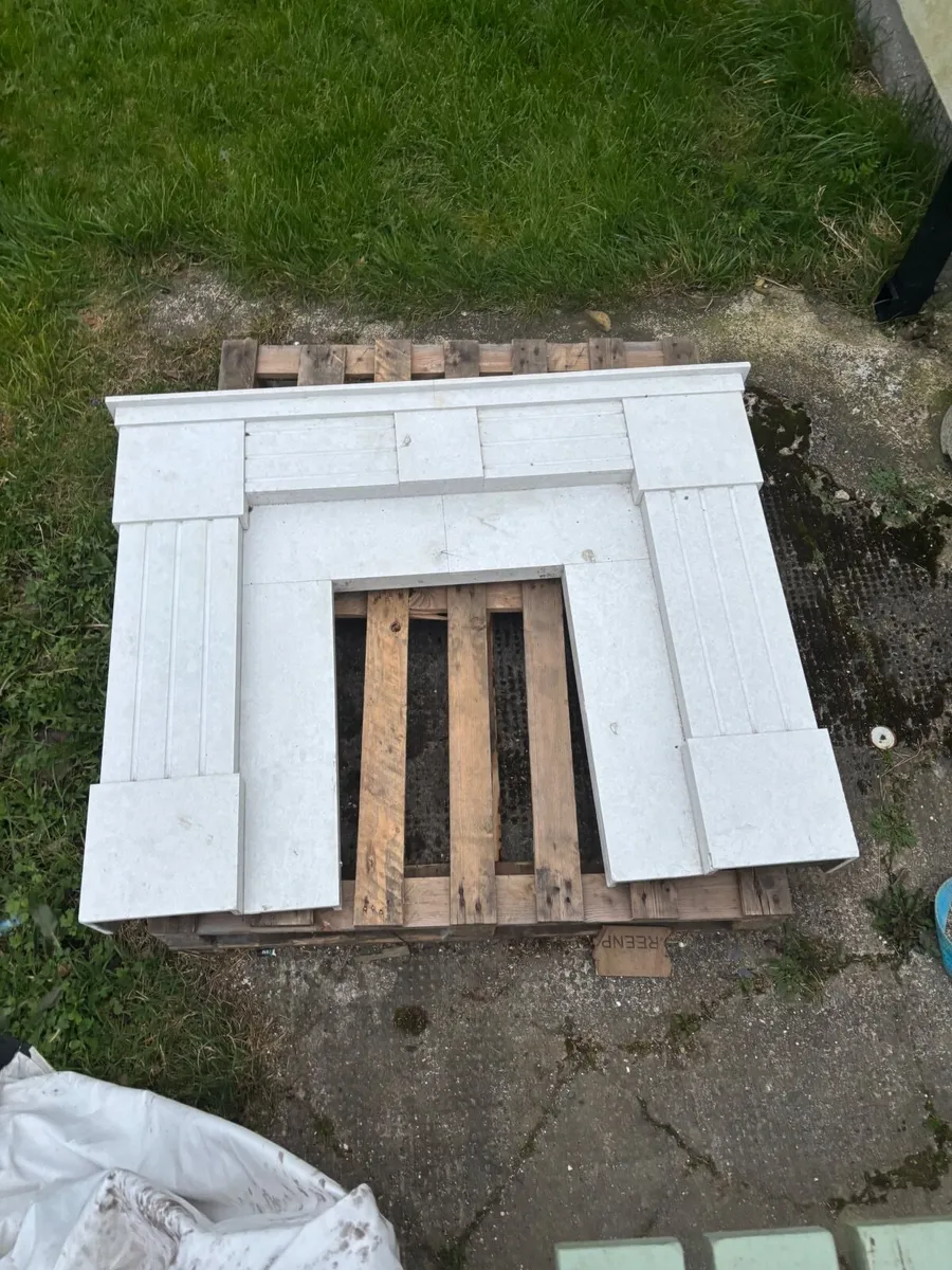 Marble Fire place surrounding - Image 4