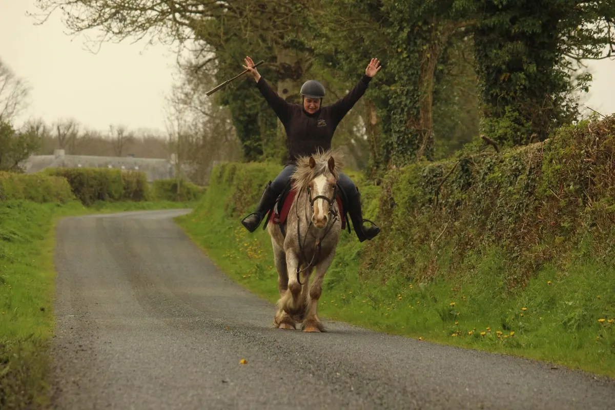 5 year old 14.1h Irish Cob appaloosa mare - Image 1
