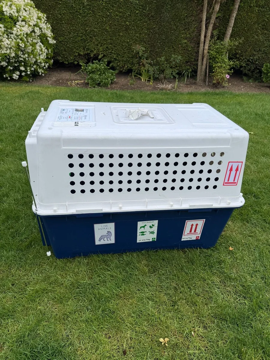 IATA Dog travel crate - Image 3