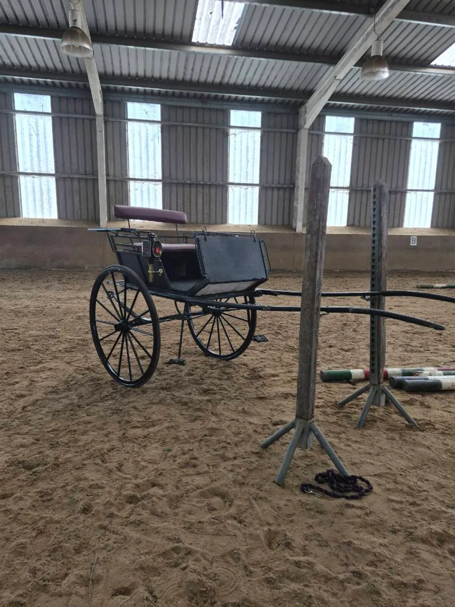 Vintage Carriage - Image 4