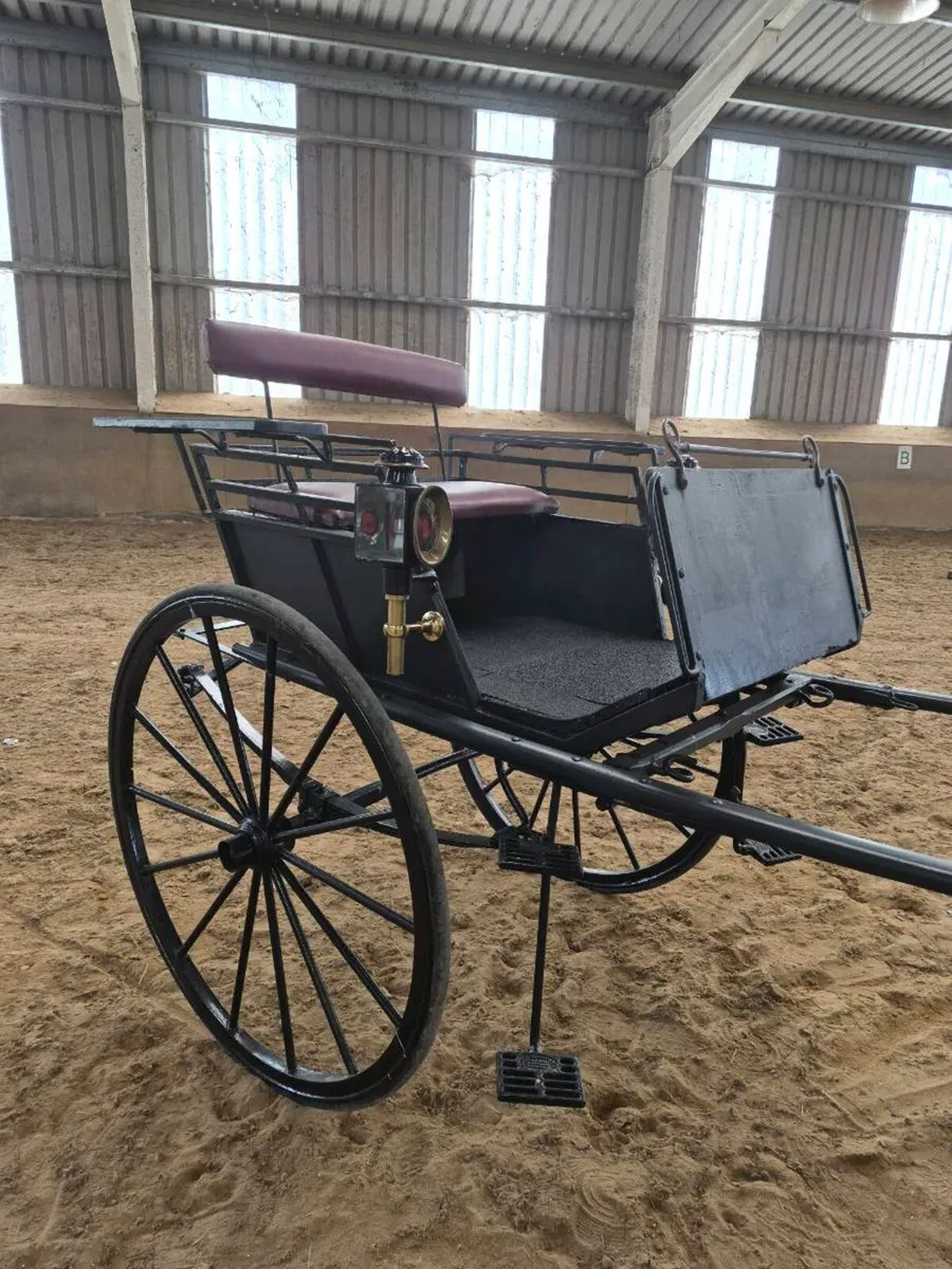 Vintage Carriage - Image 1