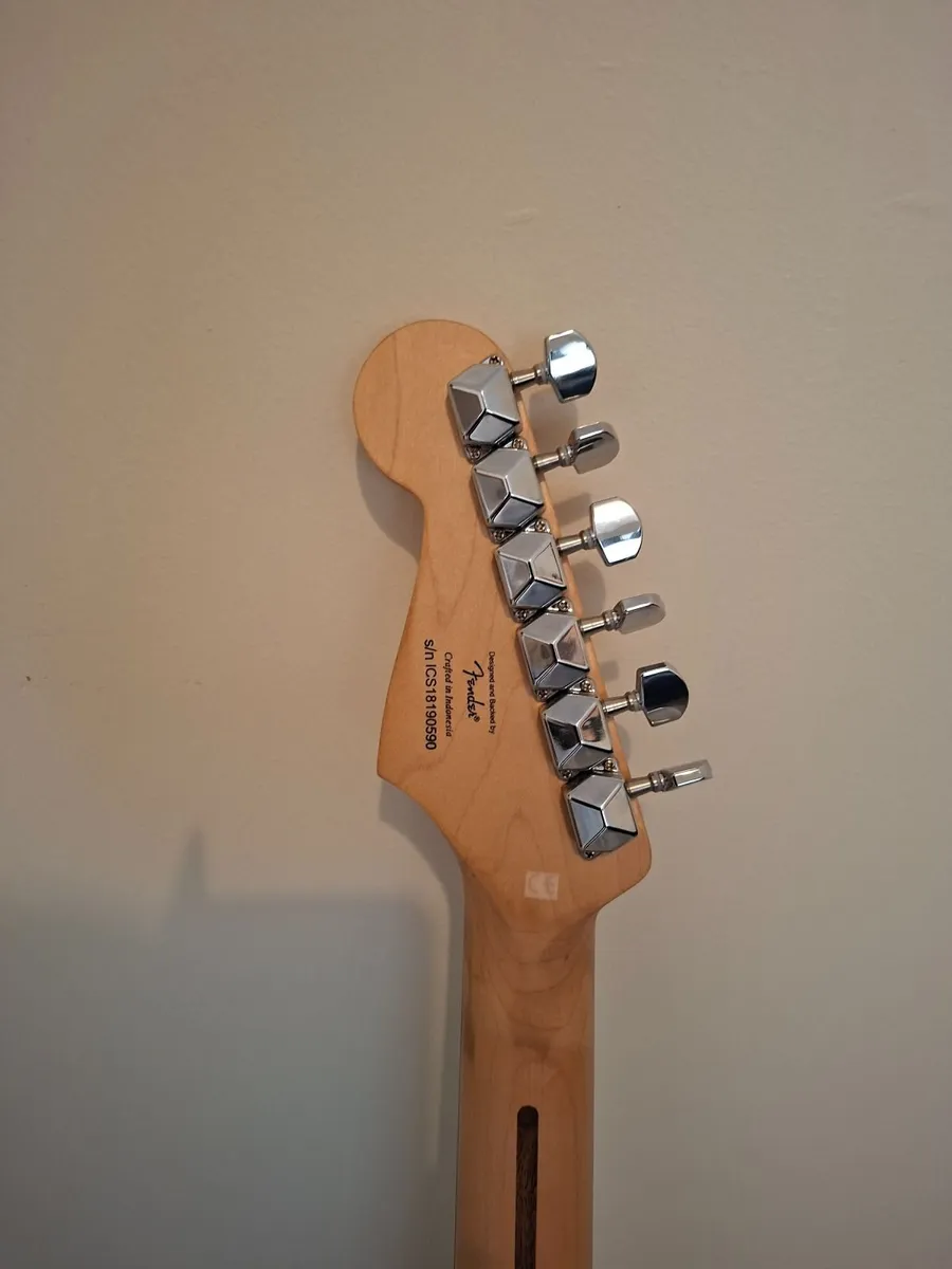 Squire strat - Image 4