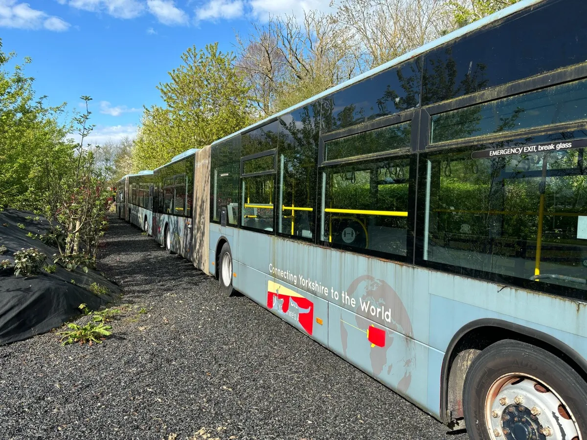 Mercedes Citaro Bendy Buses - Image 2