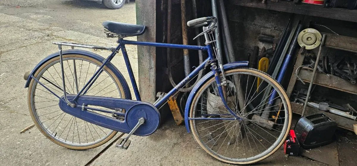 Raleigh bike - Image 1