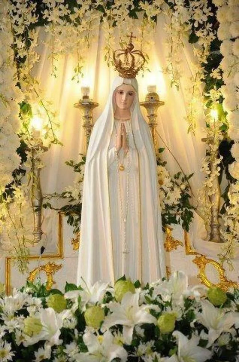 Traditional Catholic DVD, 24in1 - Image 3