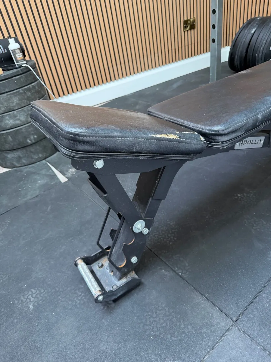 Adjustable Bench Press Apollo Fitness - Image 3