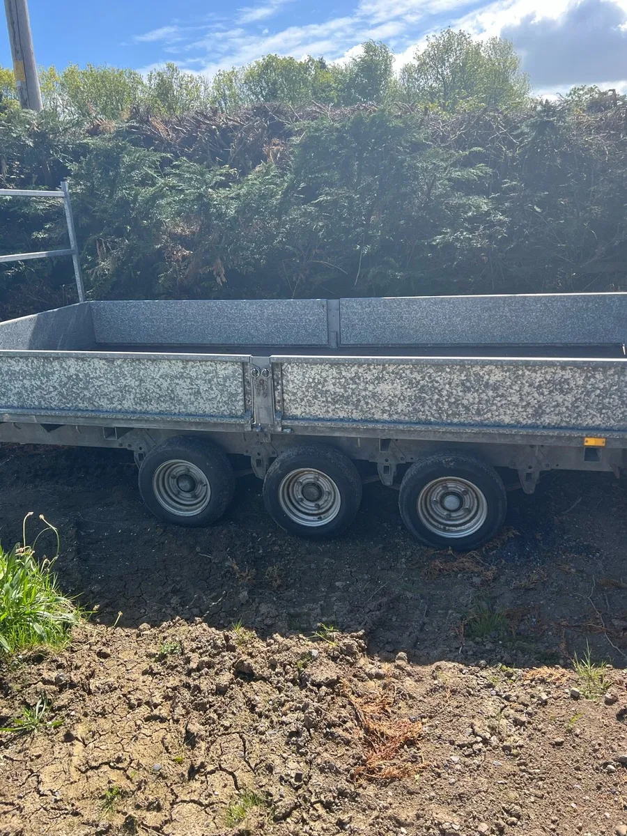 Ifor Williams Trailer - Image 4