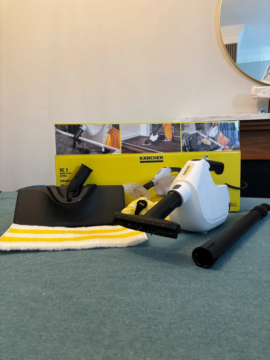Steam cleaner - Image 1