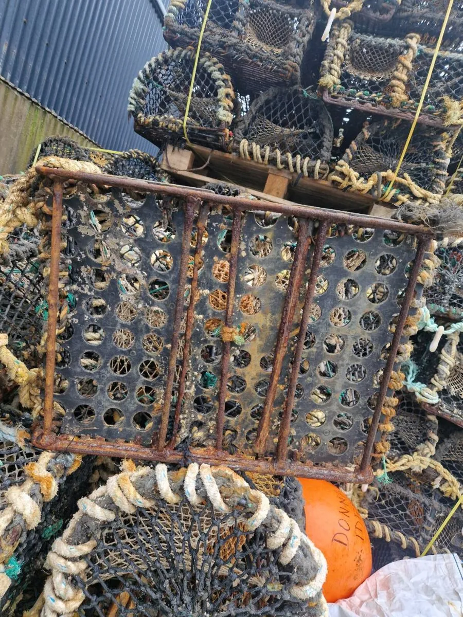 Lobster pots - Image 2