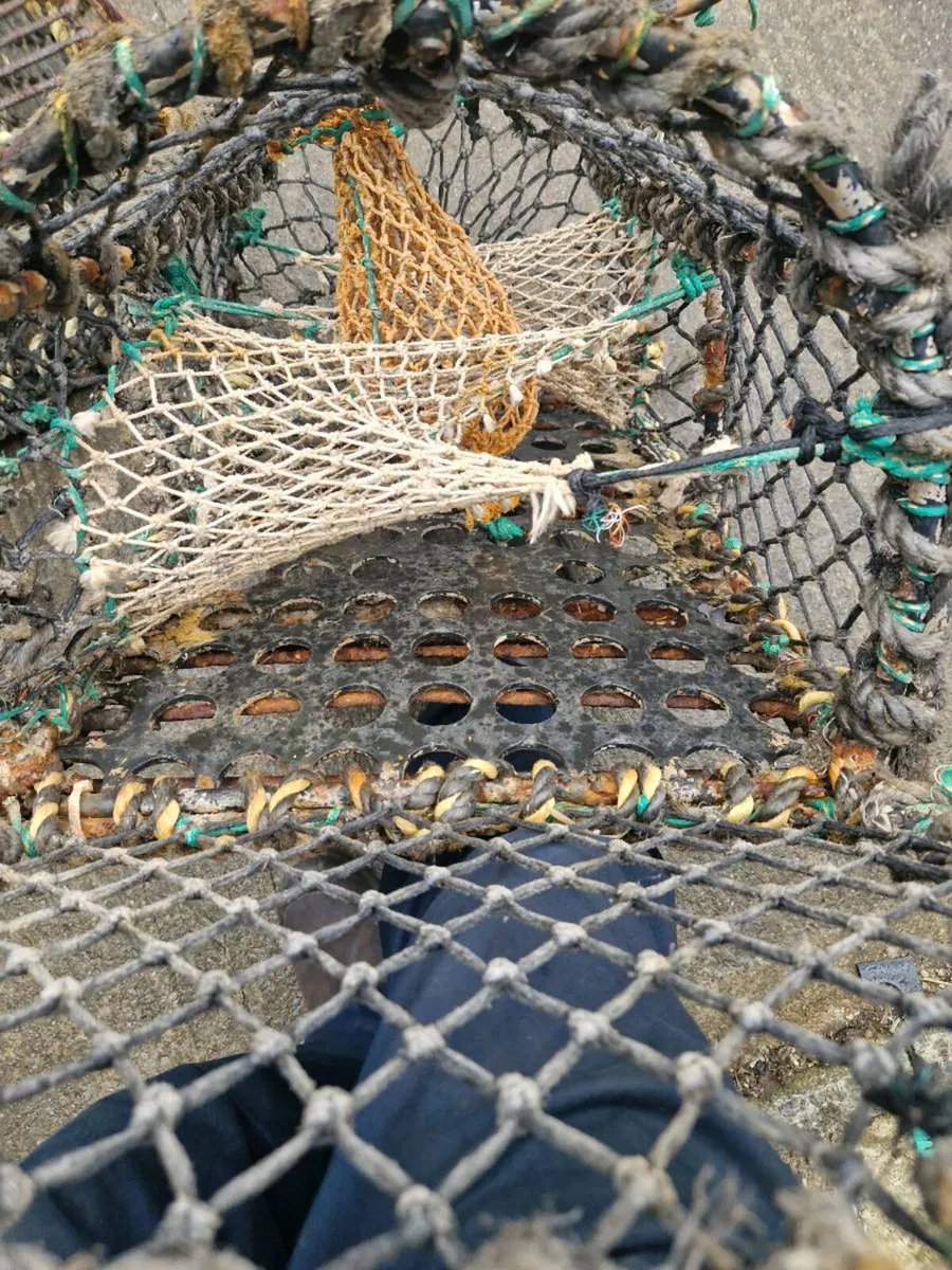 Lobster pots - Image 3
