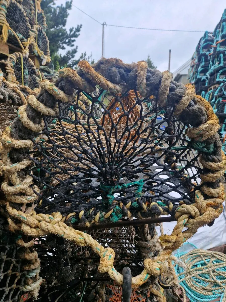 Lobster pots - Image 1