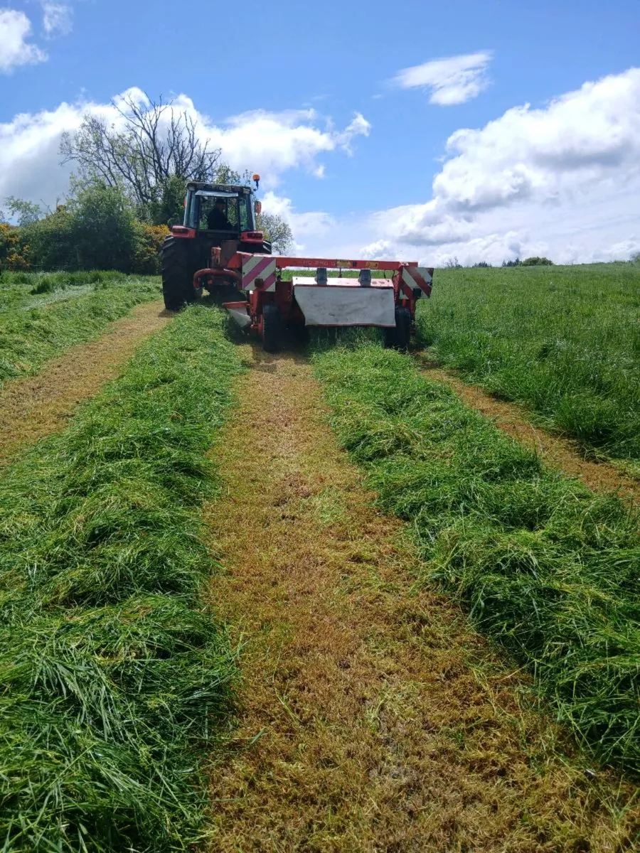 Kuhn 250 - Image 4