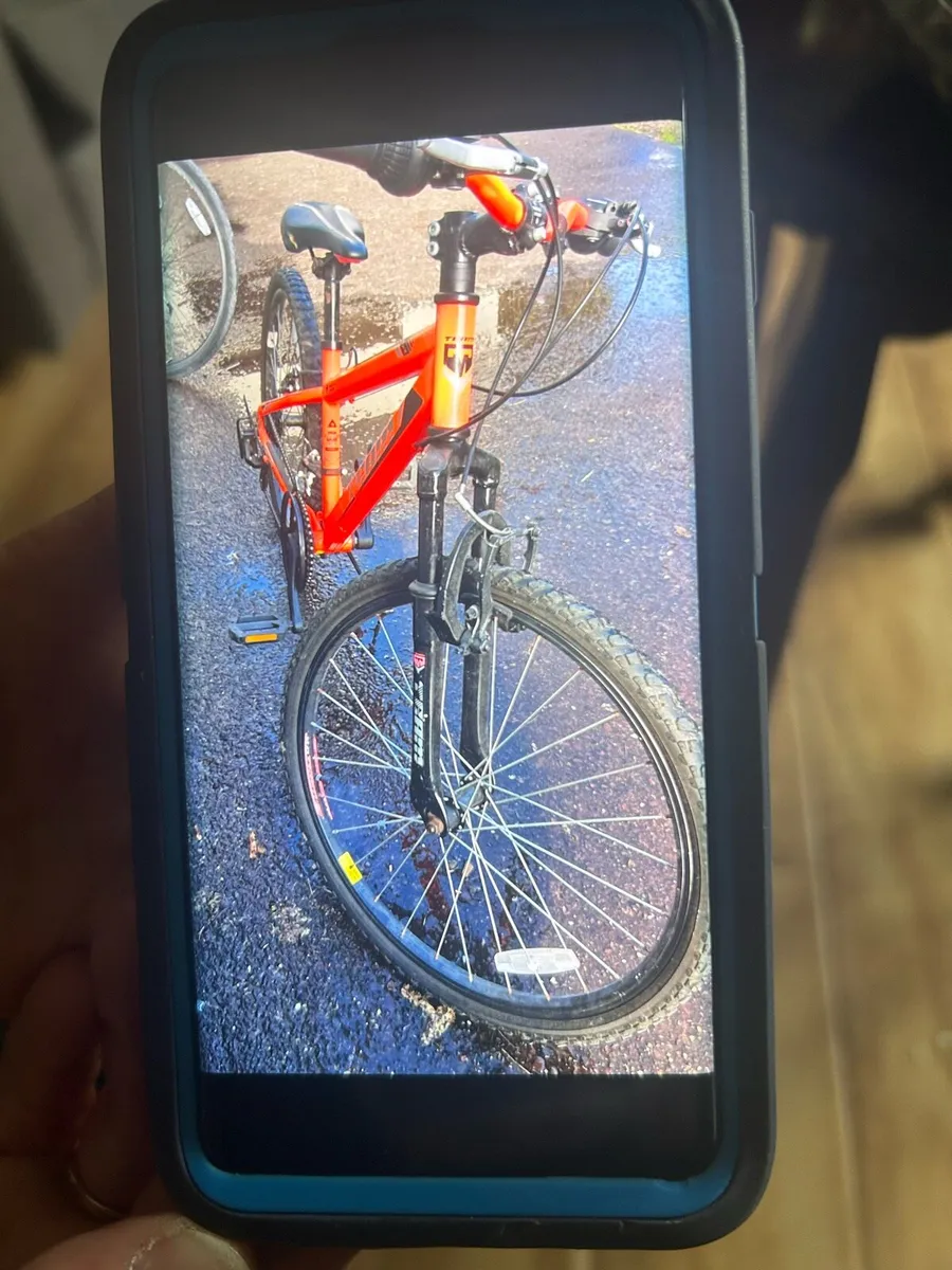 Bike - Image 2