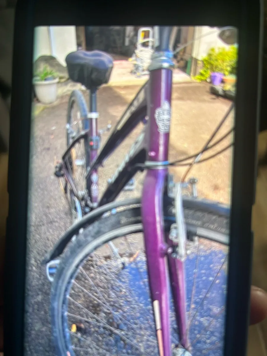 Ladies Bike - Image 1