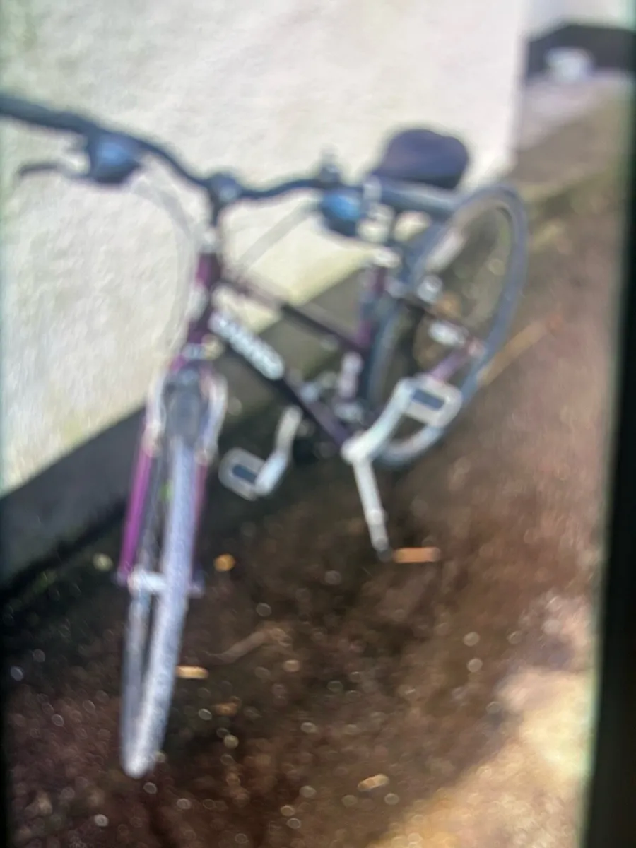 Ladies Bike - Image 2