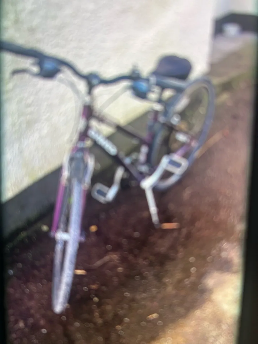 Ladies Bike - Image 3