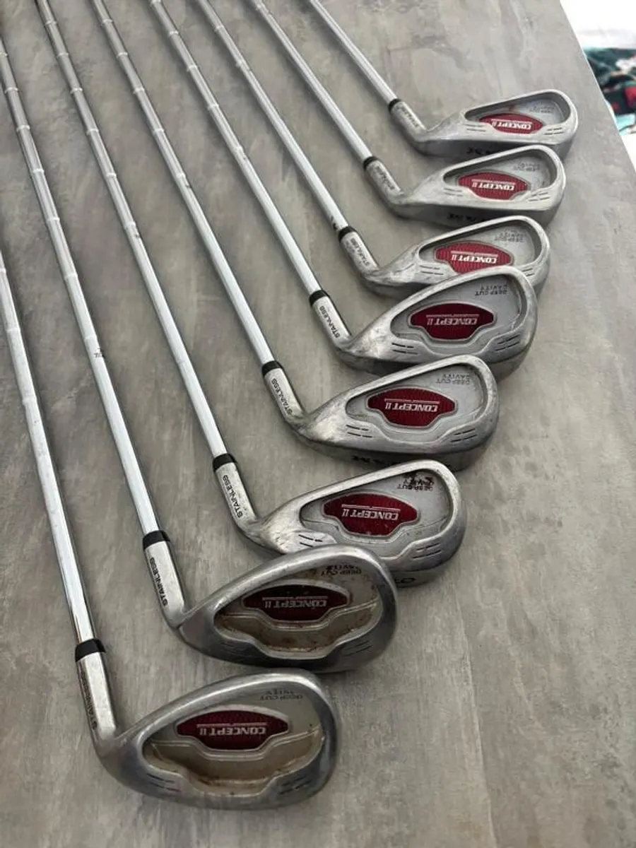 Top Flite Bag and Ram Irons - Image 3
