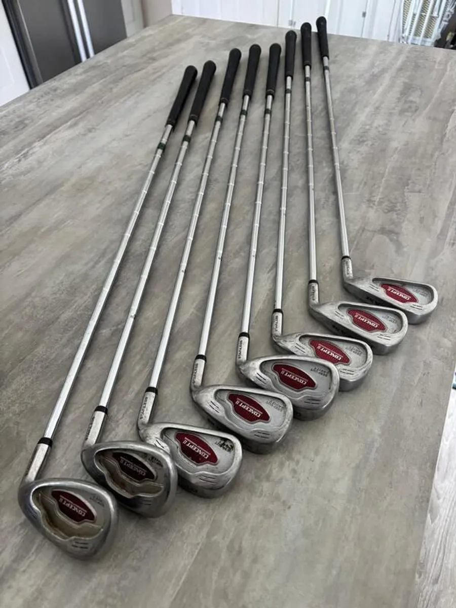 Top Flite Bag and Ram Irons - Image 2