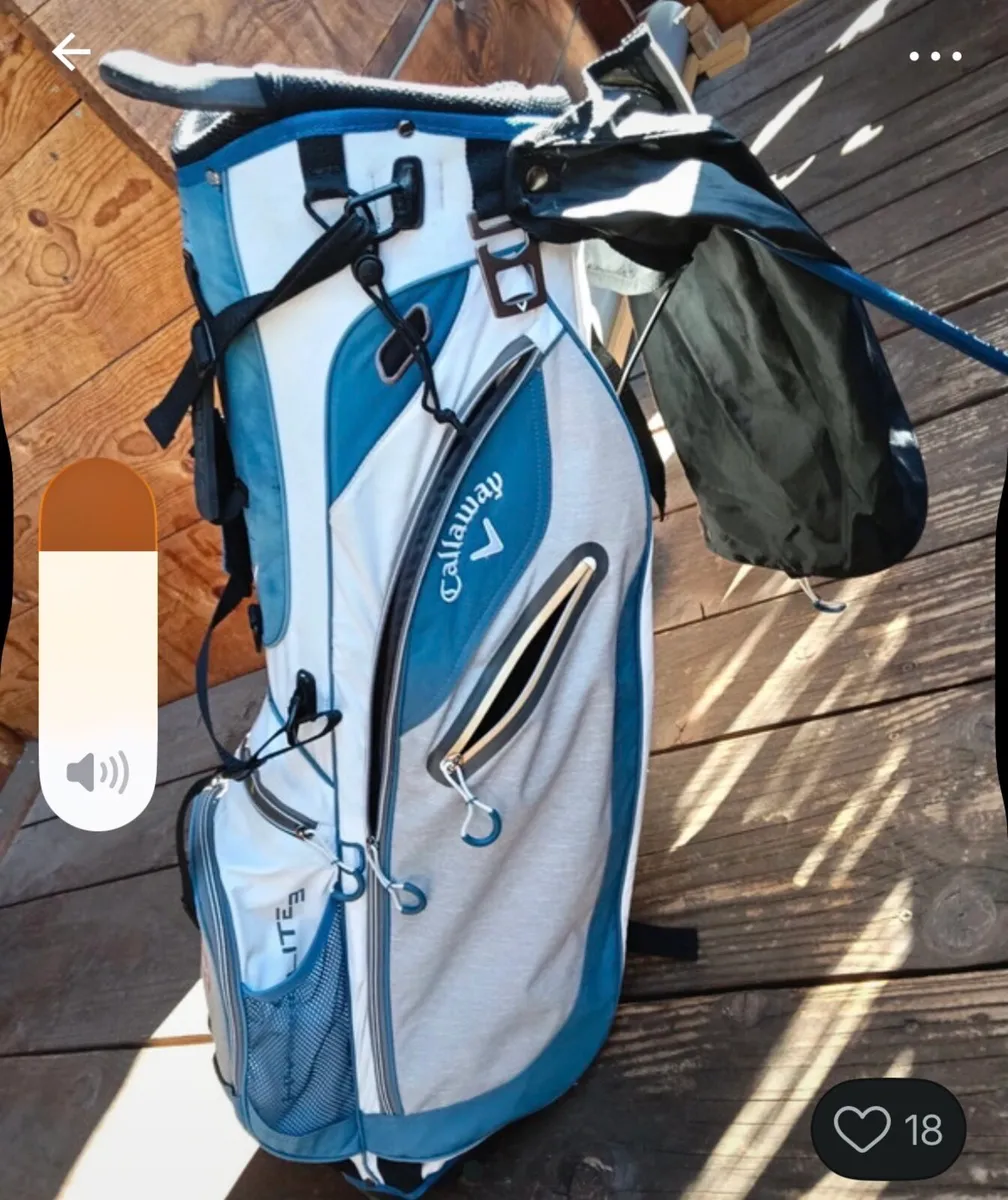 Callaway carry bag