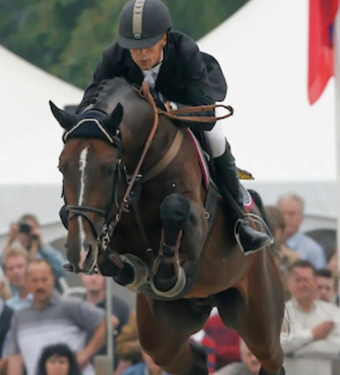 Bentley van de Heffinck 5 straws - Image 3