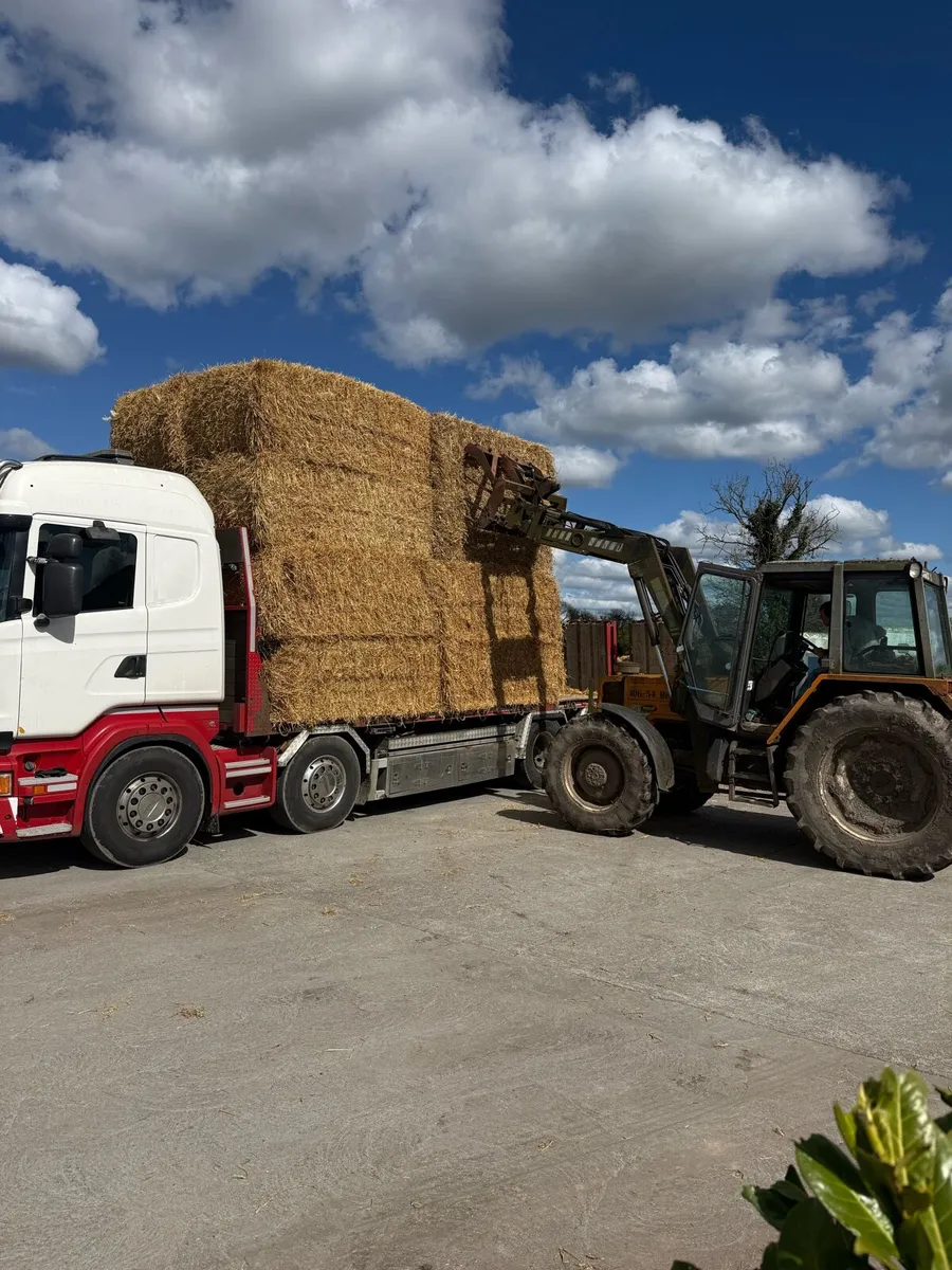 Rigid loads straw delivered - Image 1