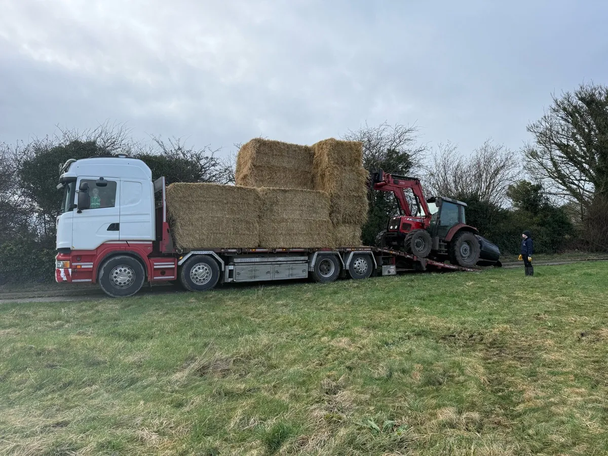 Rigid loads straw delivered - Image 3