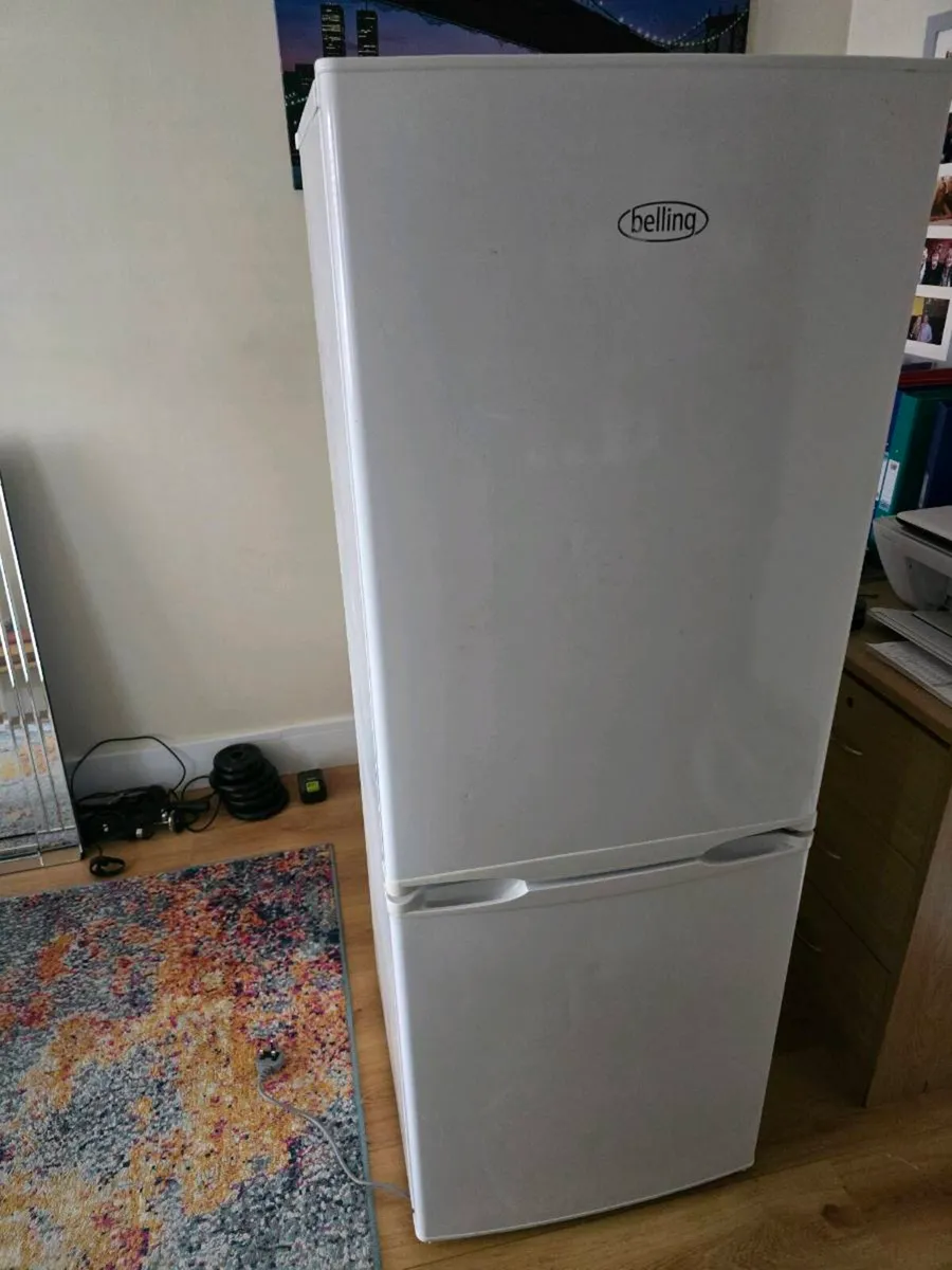 Fridge freezer - Image 1