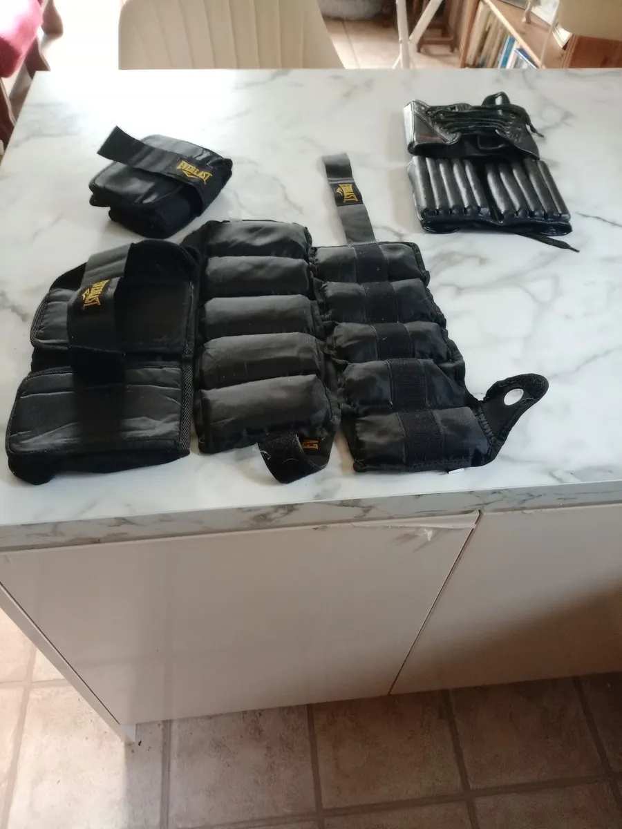 Set of Everlast Hand and Foot Weights - Image 1