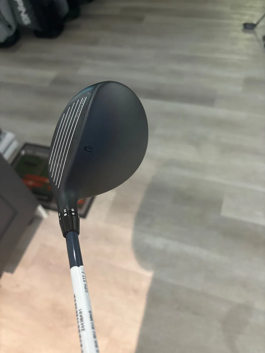 Cobra DS Adapt LS (Driver + 3 Wood) S Flex - Image 2