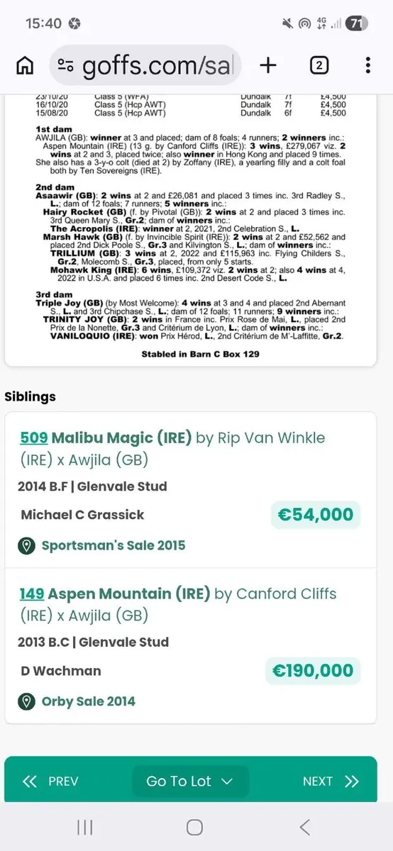 Quality Thoroughbred Broodmare - Image 4