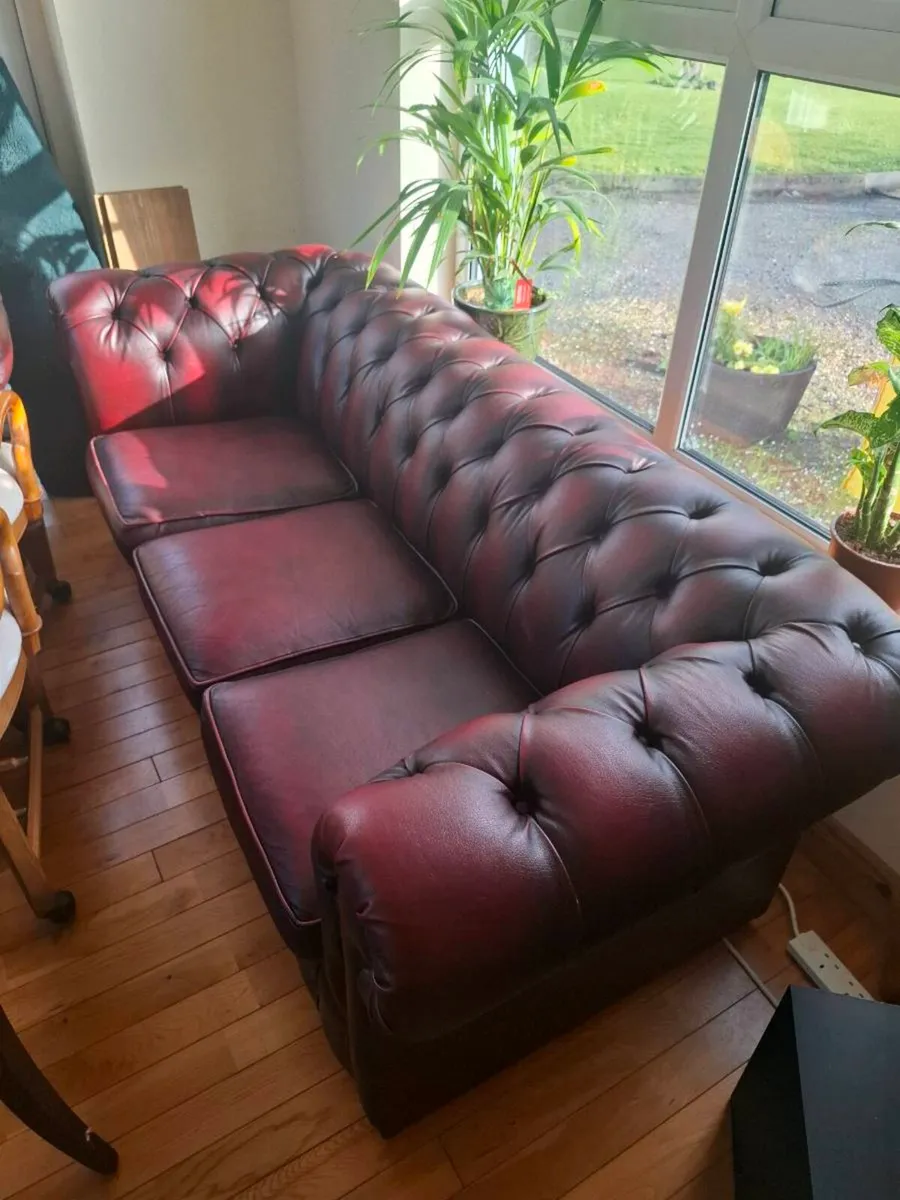 Chesterfield Style Club Chair and Three Seater - Image 4