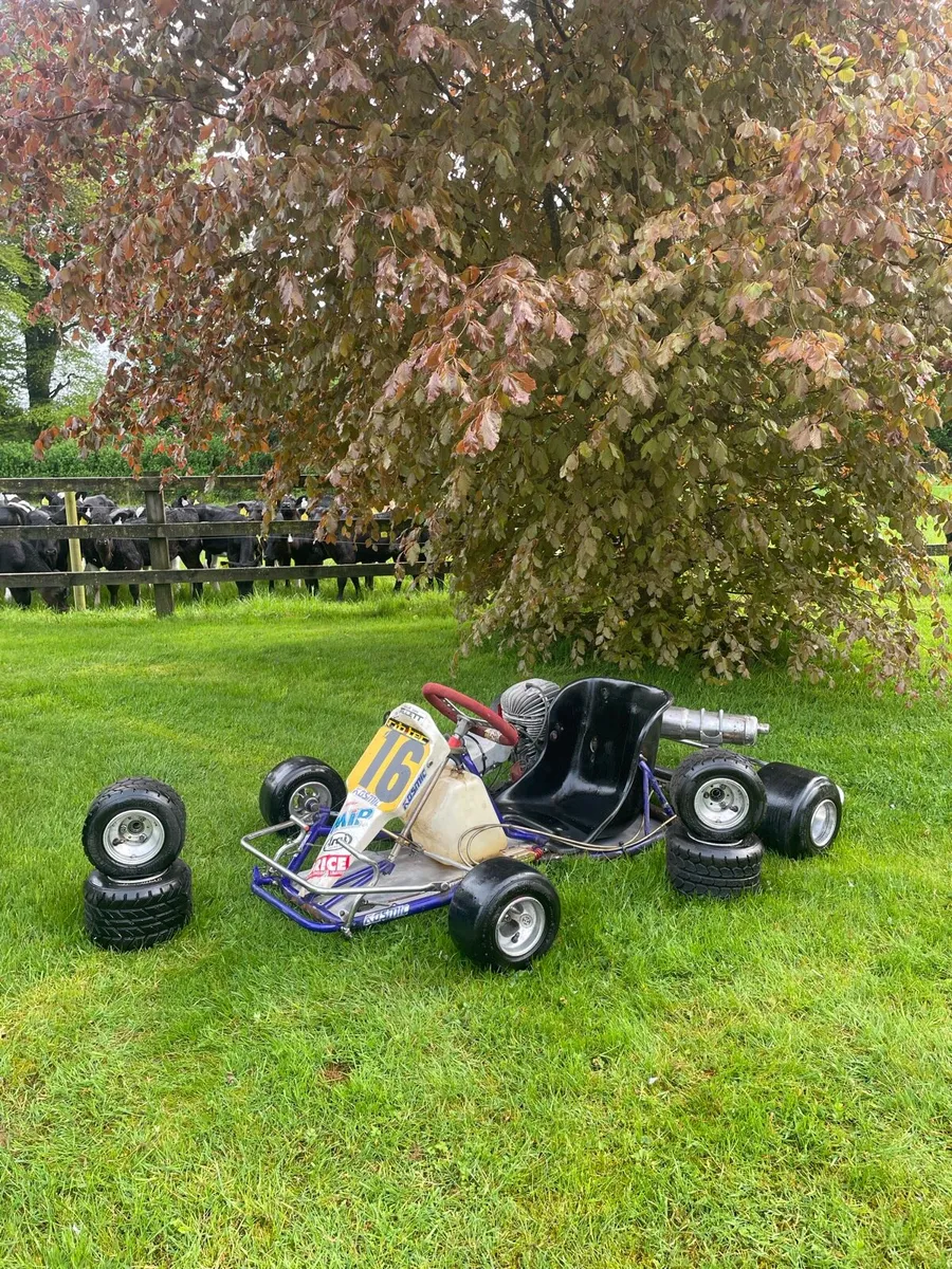 🏁Vortex 100cc senior race kart🏁 - Image 1
