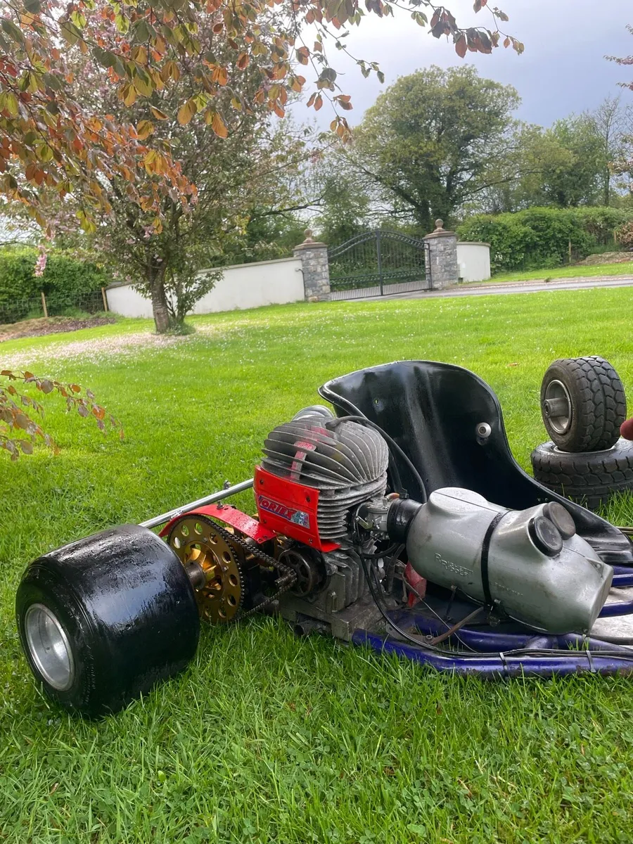 🏁Vortex 100cc senior race kart🏁 - Image 2