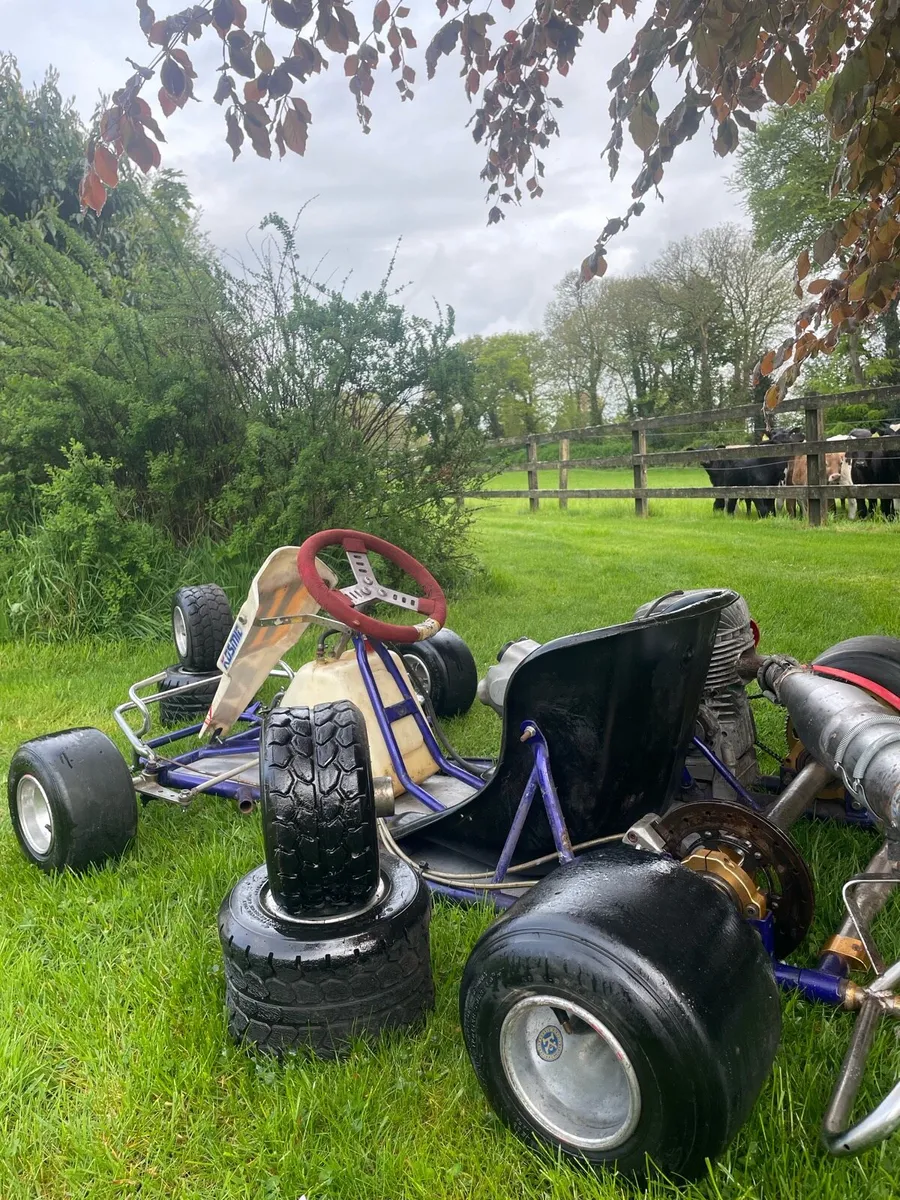 🏁Vortex 100cc senior race kart🏁 - Image 3
