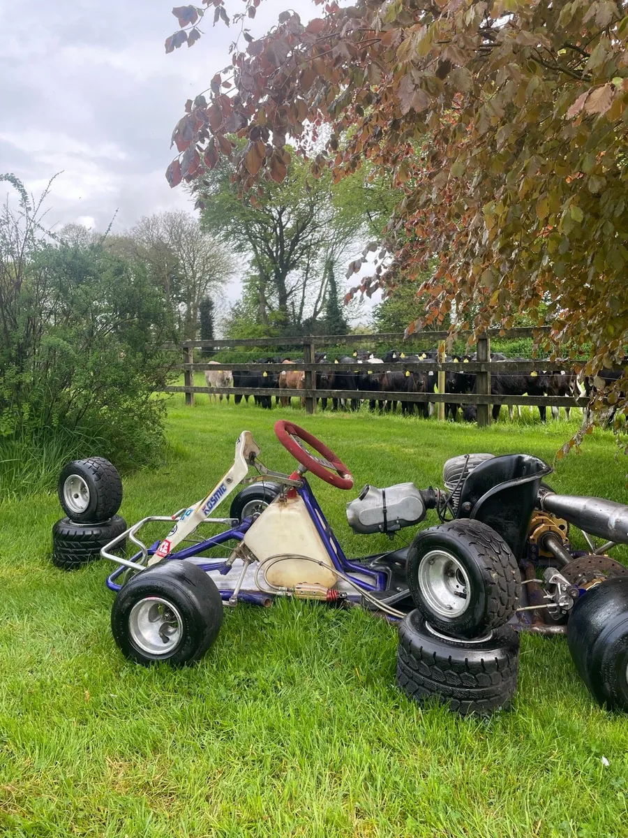 🏁Vortex 100cc senior race kart🏁 - Image 4