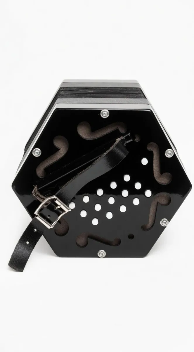 Concertina - Image 1