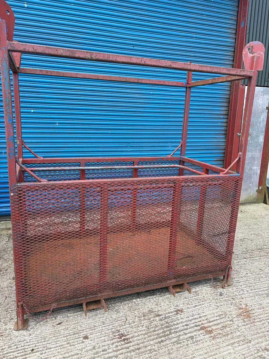 Man Basket - Image 1