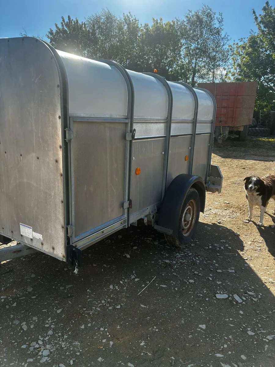 Sheep trailer - Image 1