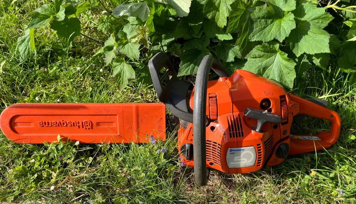 Petrol chainsaw - Image 2