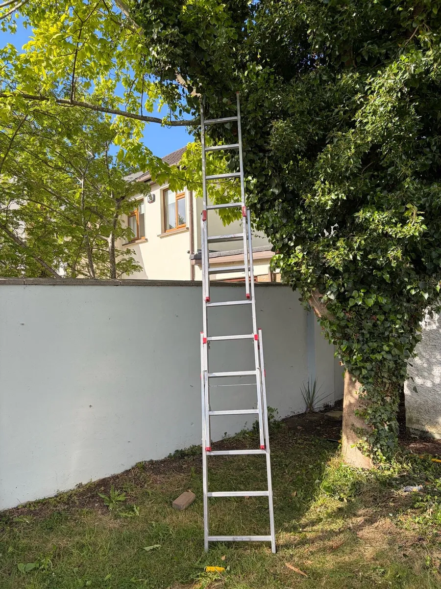 Ladder - Image 2