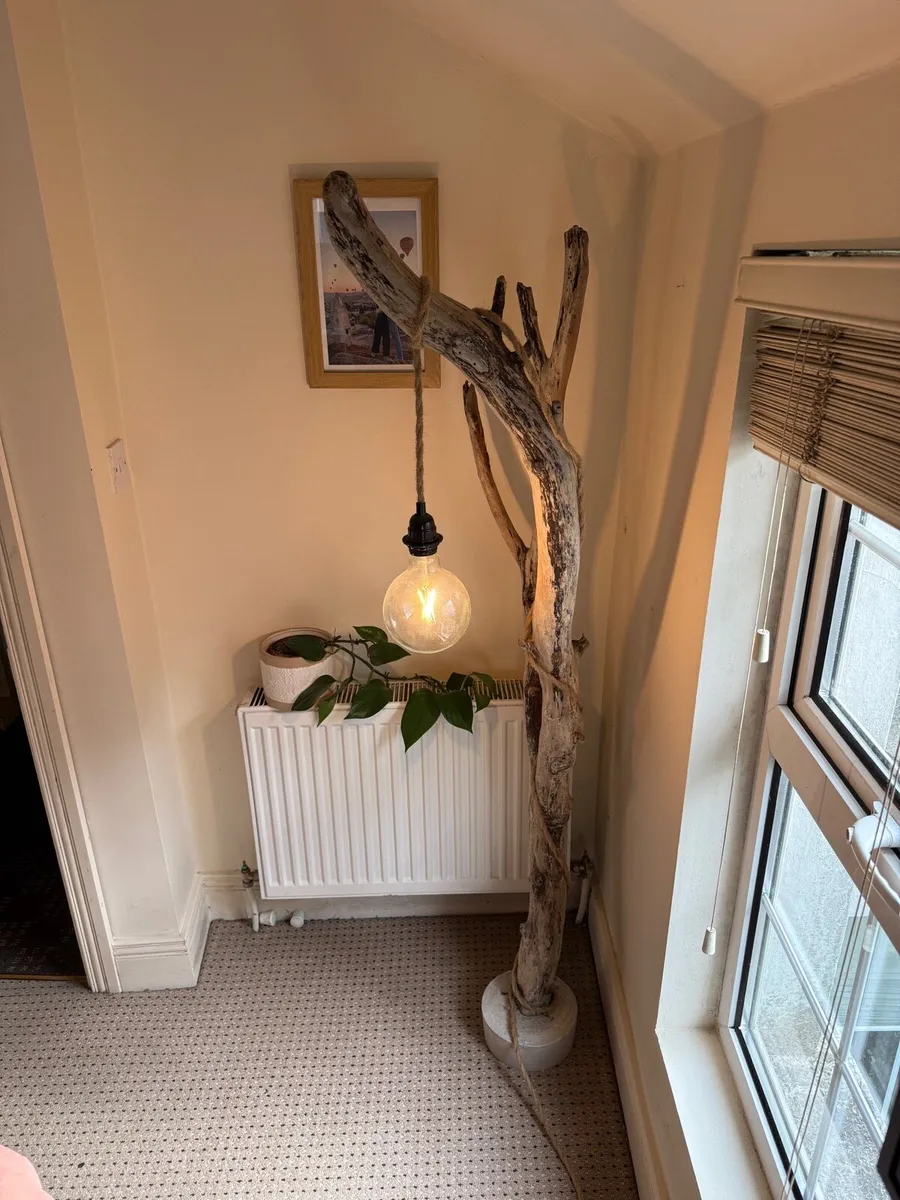 Driftwood lamp set - Image 2