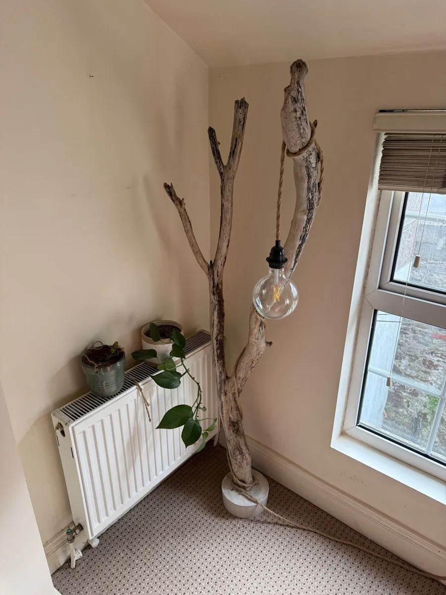 Driftwood lamp set - Image 3