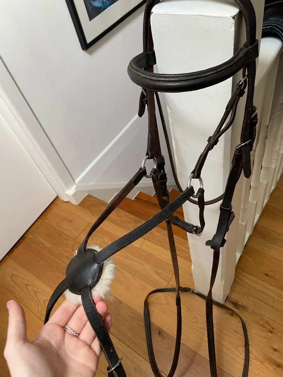 Brown cob bridle - Image 1