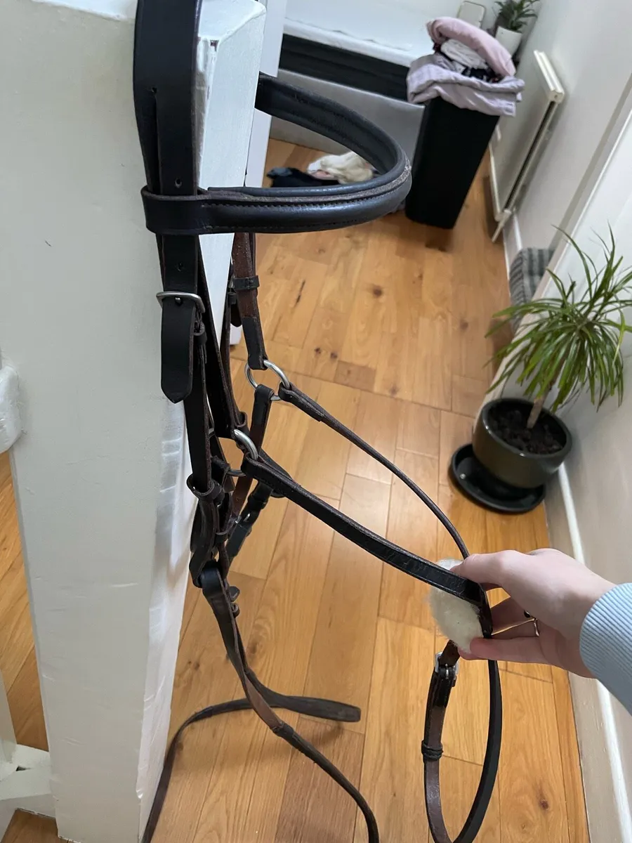 Brown cob bridle - Image 3