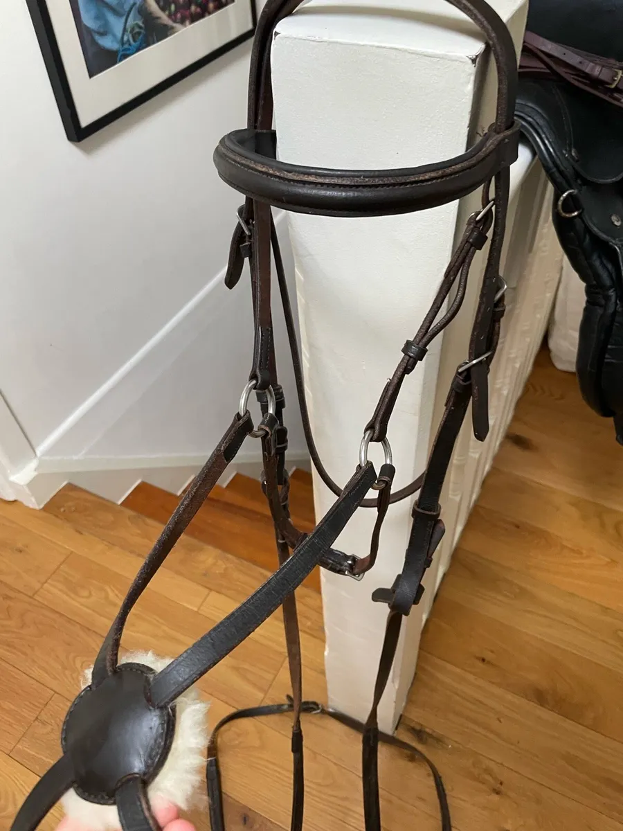 Brown cob bridle - Image 4