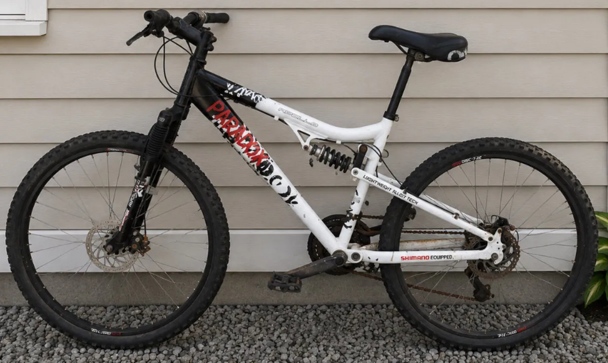 Double disc break bicycle