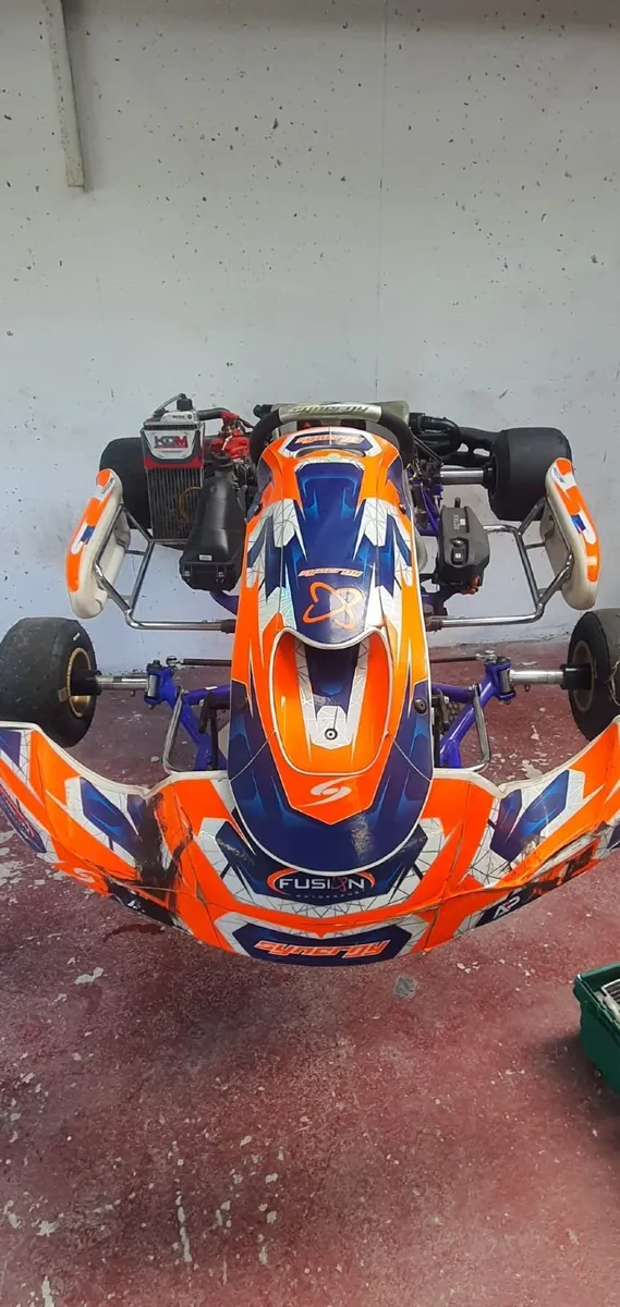 2 x Rotax Max Karts - Image 1