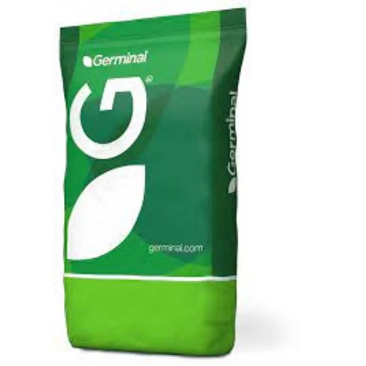 5kg bag Maris Kestrel Kale Seed - Image 2