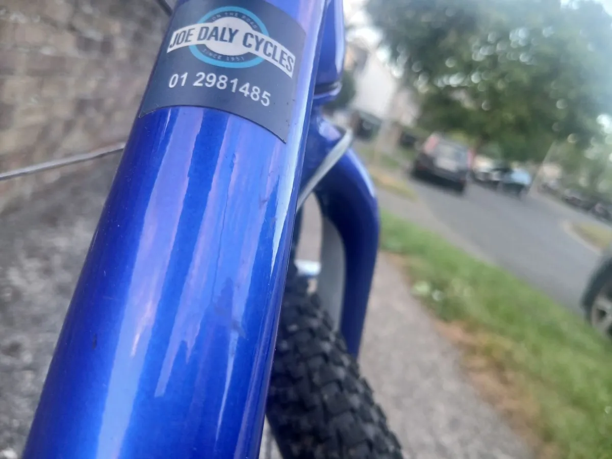 Frog bike  - Based in Dublin 14 - Image 2